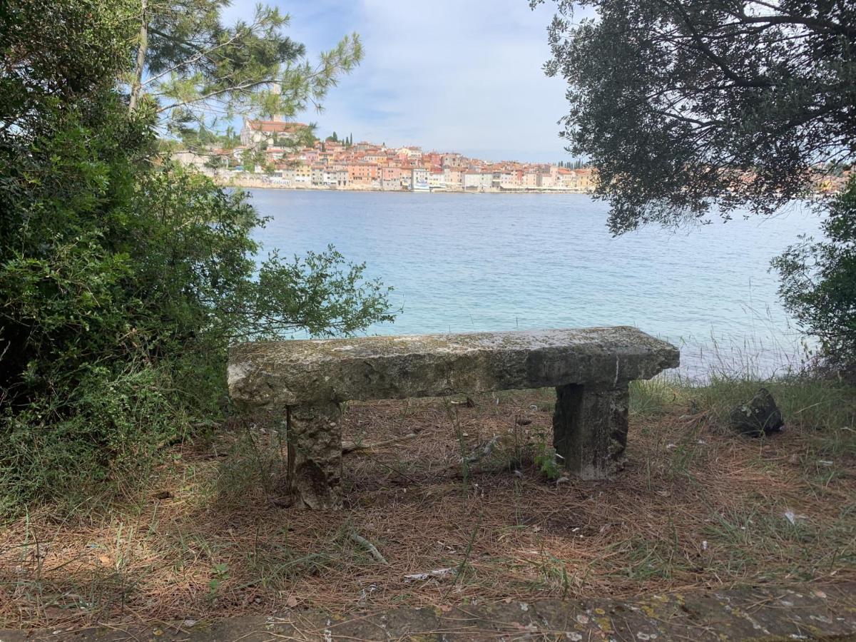 "Art House" Rovinj-Holiday, Holiday Home To Rent 罗维尼村 外观 照片